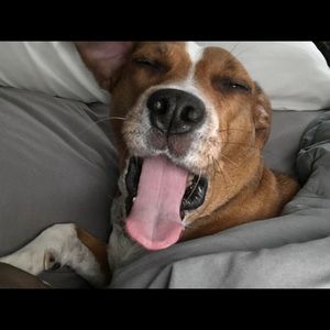 Meet your Posher, Brian